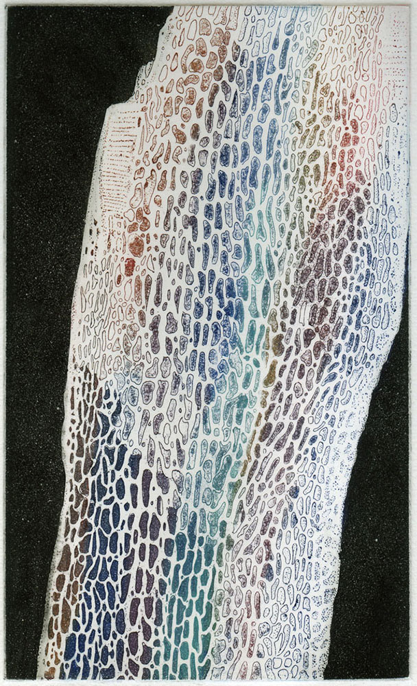 Coloured Bone, Etching with aquatint, 2006, edition of 10