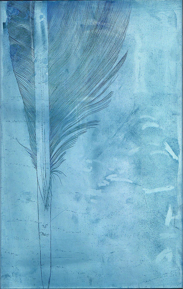 Feather, Etching with controlled plate tone and wiping highlights, 2004, Hahnemühle 350gsm paper, edition of 9.