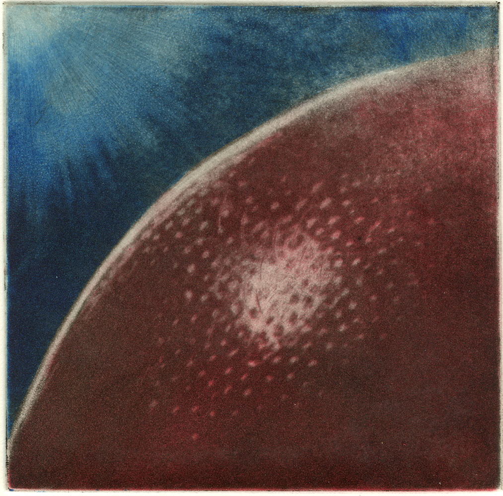 Insect Planet, Aquatint burnished and polished in mezzotint style, printed in three colours from one plate, 1998, Arches, 300gsm hot-pressed watercolour paper, edition of 30.