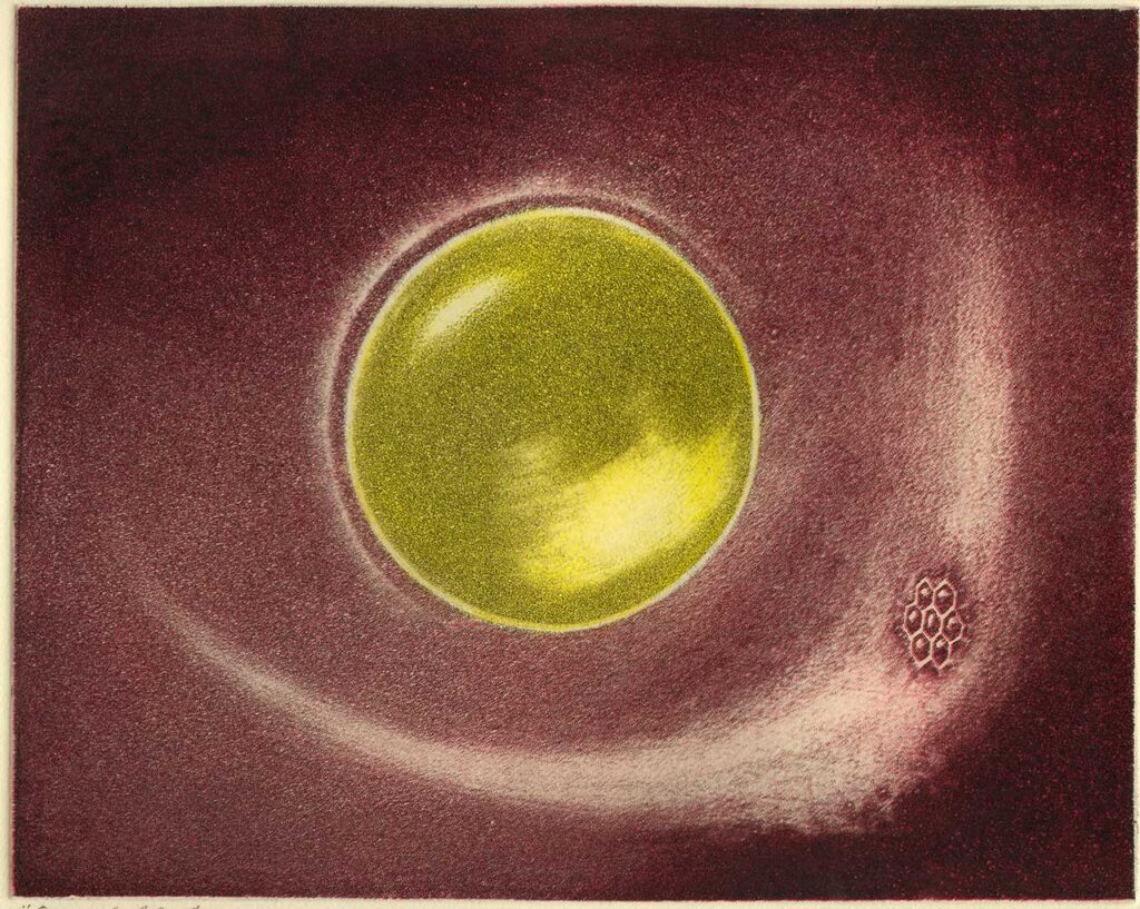 Ocellus, Aquatint burnished and polished in mezzotint style, printed in three colours from one plate, Hahnemühle 300gsm cream paper, edition of 13.